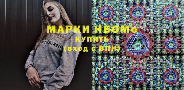 шишки Белоозёрский